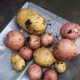 Um parâmetro importante, ou qual é a temperatura de armazenamento das batatas