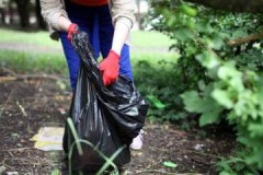 Frequency of cleaning the area from debris, cost of professional services