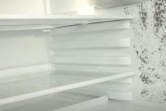 Paano ligtas at epektibong alisin ang amag sa iyong refrigerator sa bahay?