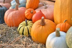 Te revelamos los secretos de cómo conservar correctamente y durante cuánto tiempo la calabaza en casa.