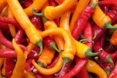 Nyttige tips om hvordan du kan bevare varm paprika for vinteren så lenge som mulig