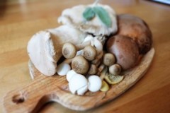 Eenvoudige regels voor het bewaren van verse champignons