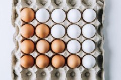 ¿Cuál es la vida útil de los huevos de gallina y de qué depende?