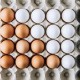 ¿Cuál es la vida útil de los huevos de gallina y de qué depende?