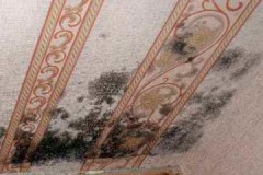 How to effectively and safely remove mold from wallpaper: methods of control