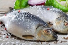 Tips and tricks on how to properly store salted fish at home