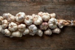 Proven ways to properly store winter garlic at home until spring