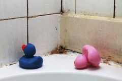 ¿Cómo eliminar rápida y eficazmente el moho en el baño?