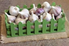 We follow the rules: how long can garlic be stored and under what conditions?