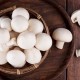 Berapa lama dan bagaimana anda boleh menyimpan champignons segar di rumah?