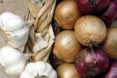 Proper organization of storing onions and garlic at home is the key to preserving the harvest!