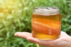 Peraturan mudah untuk menyimpan kombucha semasa bercuti