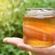 Reglas simples para almacenar kombucha durante las vacaciones