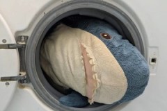 Simple recommendations on how to wash an Ikea shark