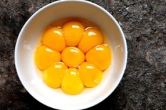 We comply with the requirements of SanPiN, or how to preserve egg yolks in the refrigerator, freezer and without