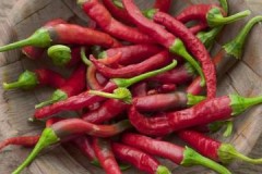 Several ways to store chili peppers correctly and for as long as possible at home