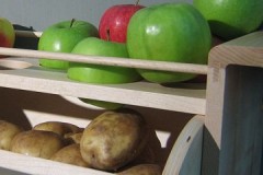 Approccio scientifico: è possibile conservare le mele in cantina insieme alle patate?