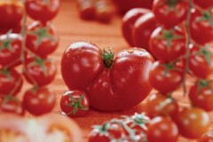 Dicas e segredos sobre como armazenar tomates maduros em casa